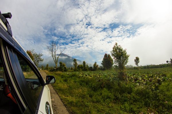 Transport Mt. Kerinci to Padang