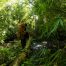 River crossing Sumatran Tiger Trek backpacking