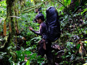 Wira on the Trail