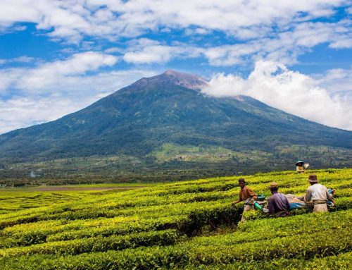 Solo Mt. Kerinci Trek Dates